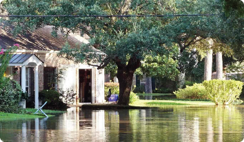 a flooded house with a tree in the front