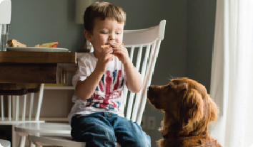 a boy sitting in a chair and eating a dog