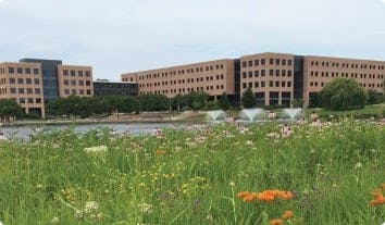 a field of grass with buildings in the background