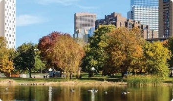 a body of water with trees and buildings in the background with Boston Common in the background