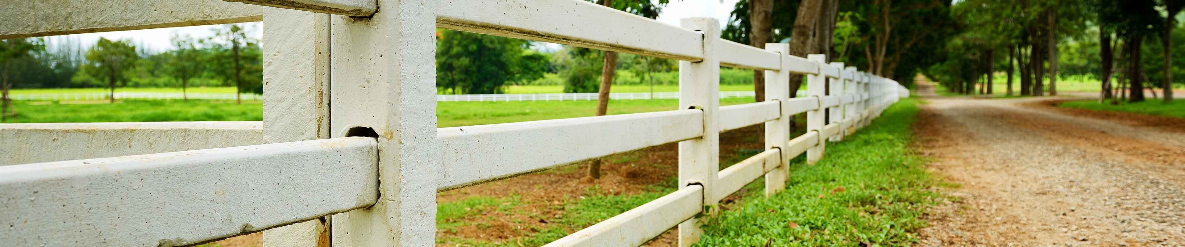A fence marking the edge of a homeowner's property.