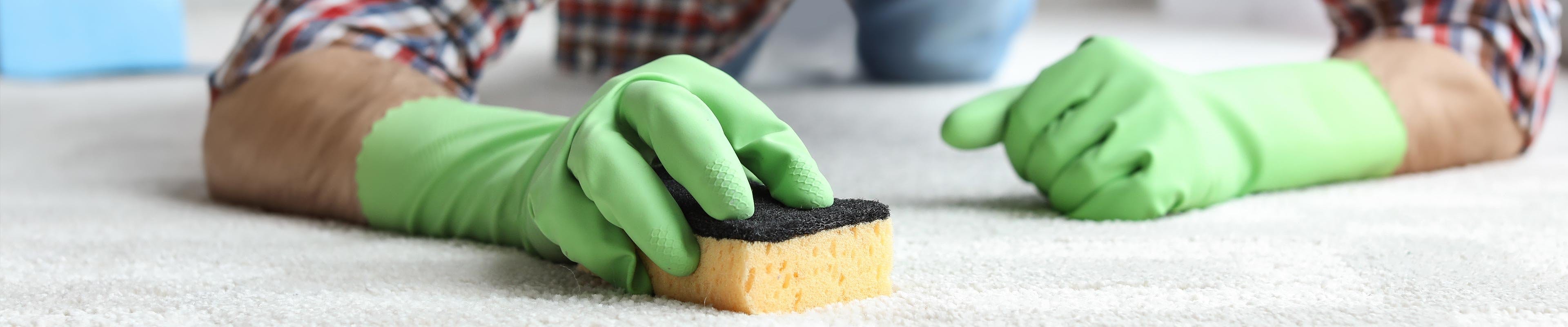 A white man wearing green rubber gloves cleaning his carpet with a sponge on his hands and knees.