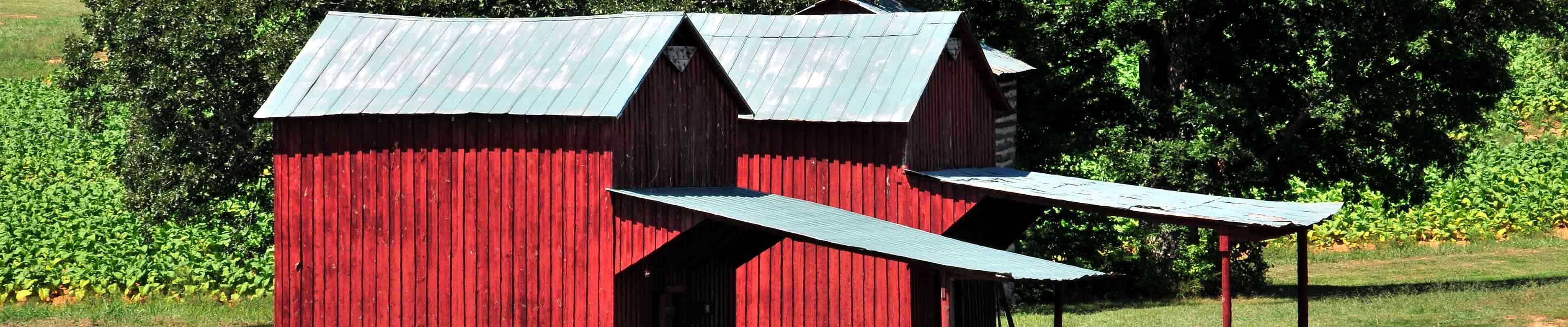 Two barns with well-maintained roofs.