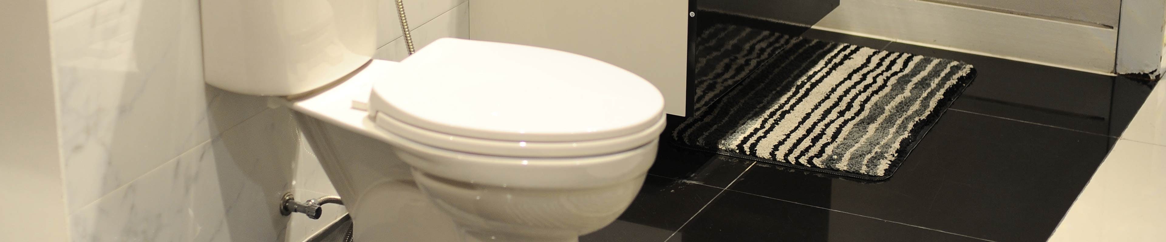 A well-maintained toilet in a home.