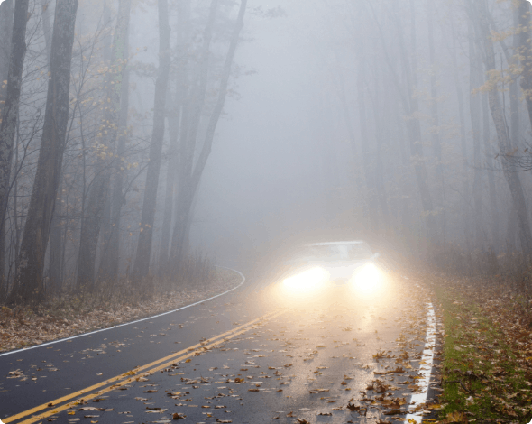 Car driving on a foggy evening. 