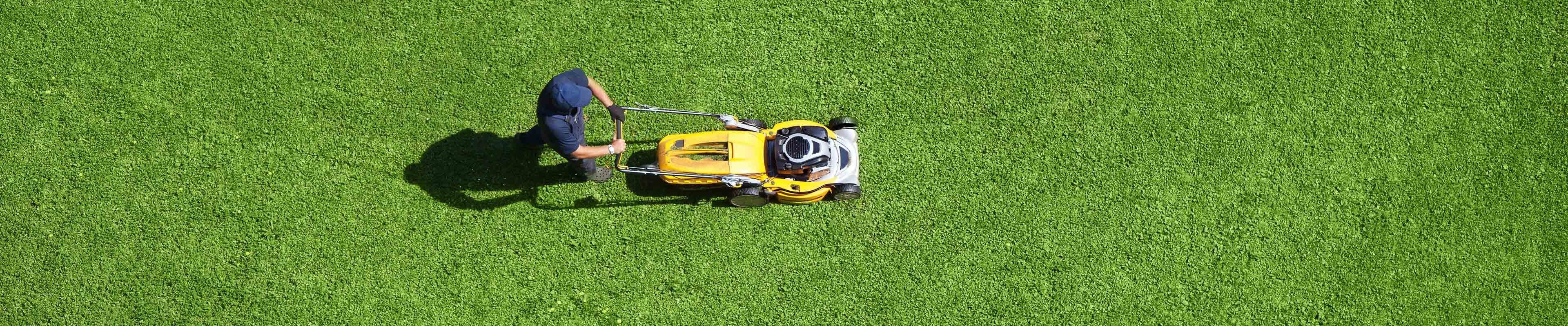 Image of a man mowing a lawn.