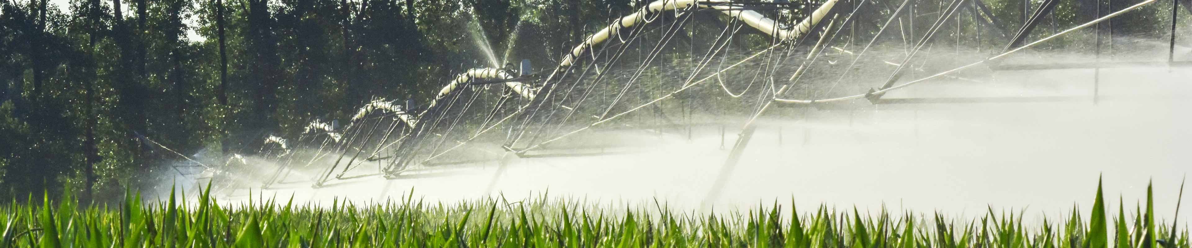 Image of an irrigation system watering crops.