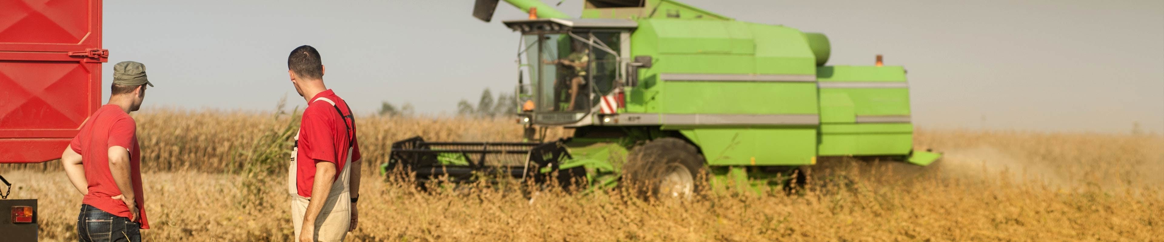 Image of farm managers observing an employee operate a combine.