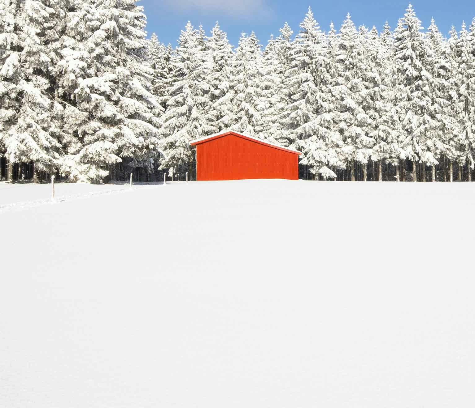 Image of an outbuilding surrounded by snow covered pine trees.