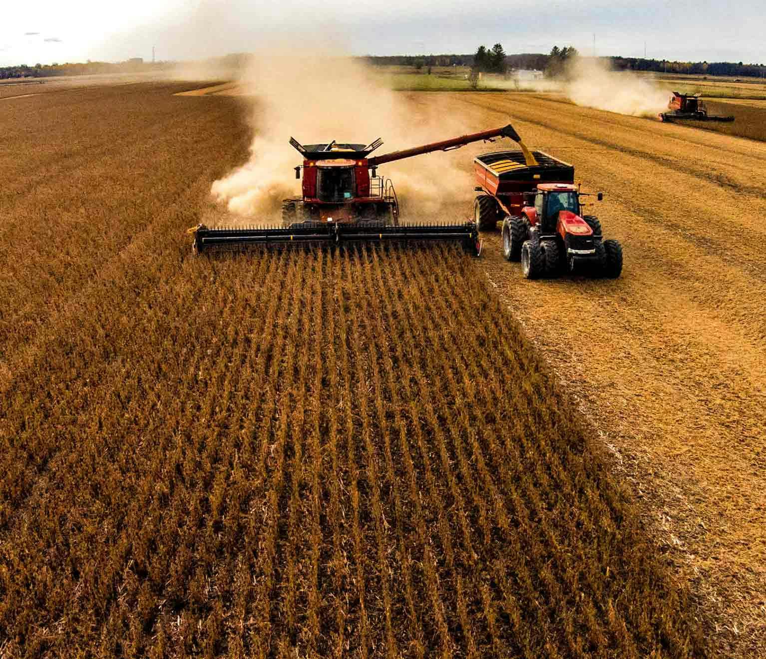 Image of a combine harvesting corn.