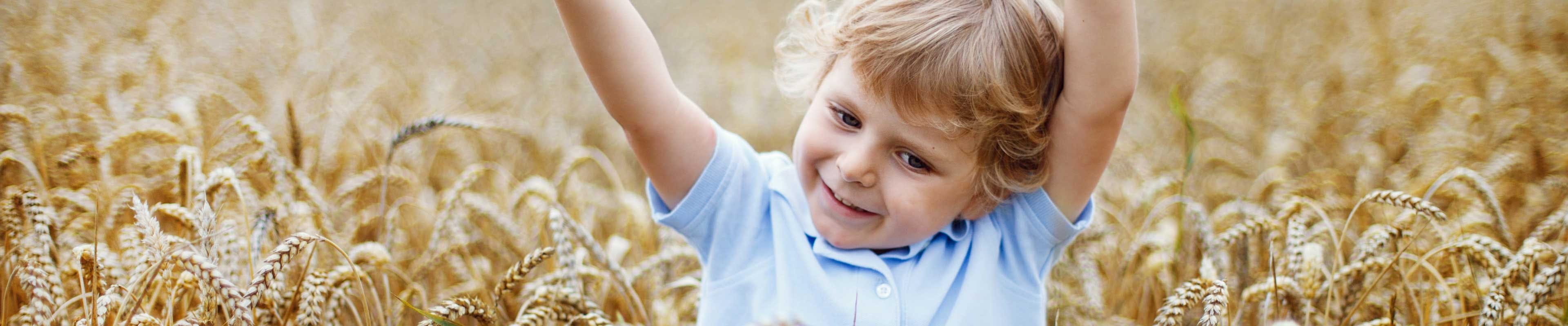 Little boy playing in a field of wheat