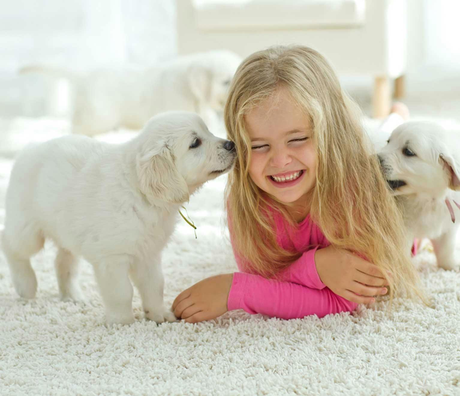 Image of a girl playing with two puppies.