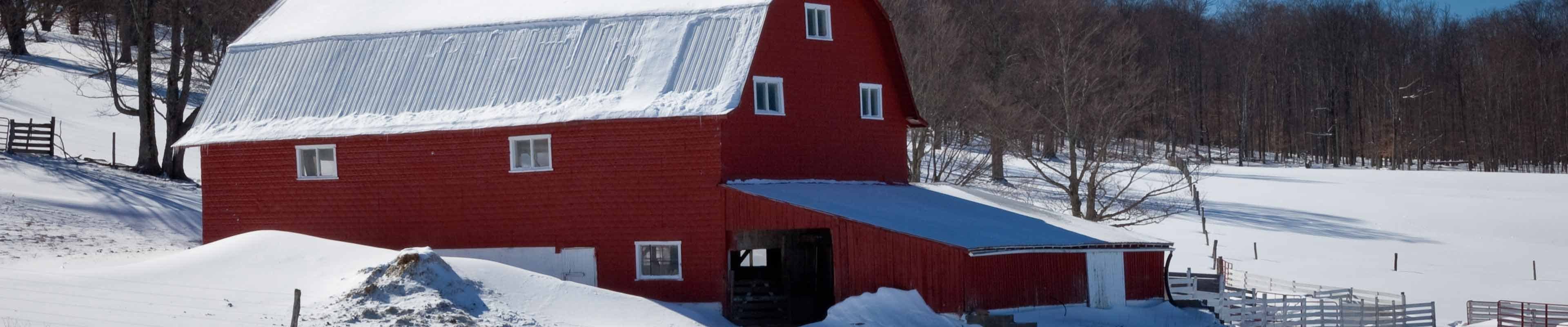 Snow overload on red barn roof on farm.