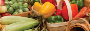 a group of vegetables